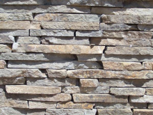 ������ �������� - ����������� 1