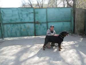 ������ �������� - ����������� 1