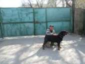 ������� � ����������: ������ ��������