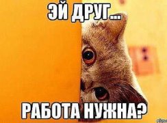 ������ ��������! - ����������� 1