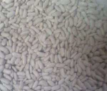 ������ ��������! - ����������� 3