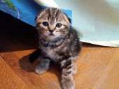 ������ �������� - ����������� 2