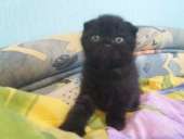 ������ �������� - ����������� 3