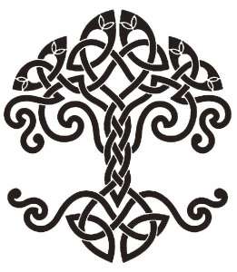 ������ �������� - ����������� 1