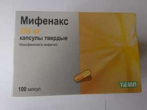 ������ �������� - ����������� 1