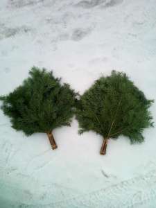 ������ �������� - ����������� 1