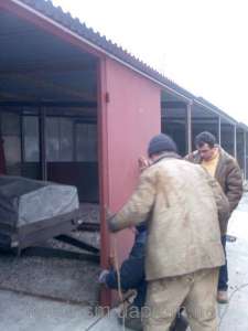 ������ �������� - ����������� 1