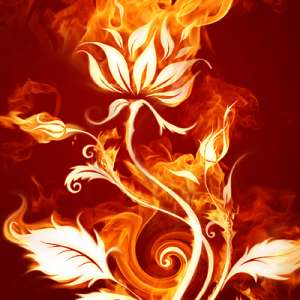 ������ �������� � - ����������� 1