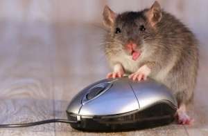 ������ �������� � ���� ���� - ����������� 1