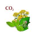 ������� � ����������: ������ �������� ��2 ����������