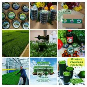 ������ �������� - ��� �� ������� ������� ��� ������ �������� - ����������� 1