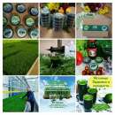 ������� � ����������: ������ �������� - ��� �� ������� ������� ��� ������ ��������