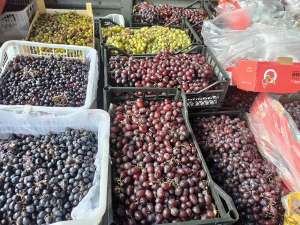 ������ �������� ��� ����, �������, ���� � �����-���������� - ����������� 1