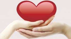 ������ ��������. ��� ���� �������� �����. ������ �� ���������� - ����������� 1