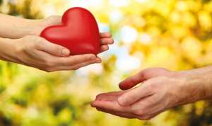 ������ ��������. ��� ���� �������� �����. ������ �� ���������� - ����������� 1