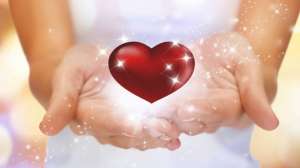 ������ ��������. ��� ���� �������� �����. ������ �� ���������� - ����������� 1