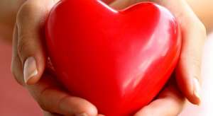 ������ ��������. ��� ���� �������� �����. ������ �� ���������� - ����������� 1