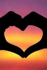 ������ ��������. ��� ���� �������� �����. ������ �� ���������� - ����������� 1