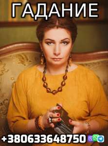 ������ �������� ��� ������ +380633648750 - ����������� 1