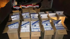 ������ �������� ���. ������������ ����� �� 10 �� - ����������� 1