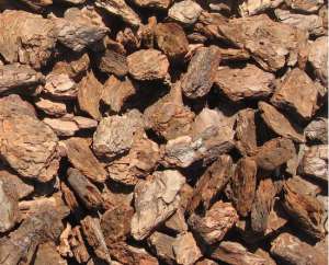 ������ �������� ���� � ��������� - ����������� 1