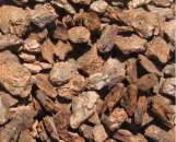 ������� � ����������: ������ �������� ���� � ���������