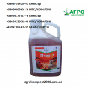 ������� � ����������: ������ �������� ���� �����