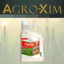 ������� � ����������: ������ �������� ���� �����