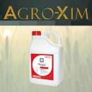 ������� � ����������: ������ �������� �����