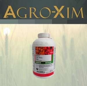 ������ �������� ����� - ����������� 1