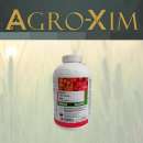 ������� � ����������: ������ �������� �����