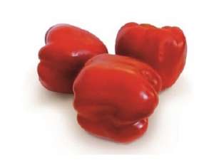 ������ �������� ����� KS 04 F1 ����� ������ - ����������� 1