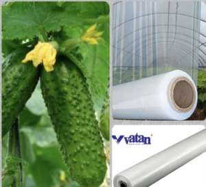 ������ �������� ����� Vatan Plastik - ����������� 1