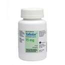 ������� � ����������: ������ �������� ����� ��� ������������ ������� ����