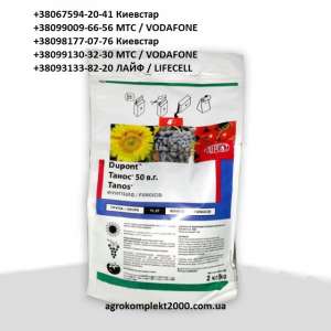 ������ �������� �����, ������� - ����������� 1