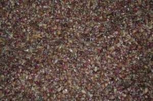 ������ �������� ����� ������� ����� ������ - ����������� 1