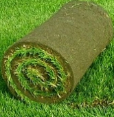 ������, �������� �����, ������� ������, ���� 26,00 ��-�, ��������. - ����������� 1