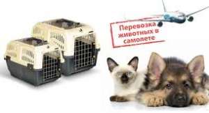 ������ �������� ����� ������� ������� ������ - ����������� 1