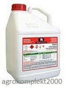 ������ �������� �����, �������� - ����������� 1