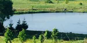 ������ �������� ������ 5 ��. : ����� + ����� +������� (���� ����� ����� � ���). ������� ����� �����. - ����������� 1