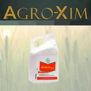 ������ �������� ������ - ����������� 1