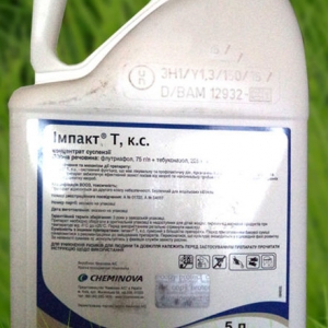 ������ �������� ������ - ����������� 1