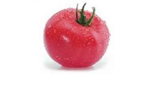 ������ �������� ������ Kibo F1 / ���� F1 (������) - ����������� 1