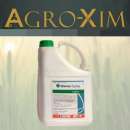 ������� � ����������: ������ �������� ������ �����