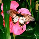 ������� � ����������: ������ �������� ������ ����� ����� ����������� ������� �� ����� �������