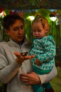 ������ �������� ������ ����� ����� �������������� ������� �� ��� - ����������� 1