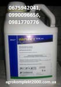 ������ �������� ������, ������� - ����������� 1