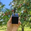 ������� � ����������: ������ �������� ������ �������� (��������)