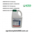 ������� � ����������: ������ �������� �������