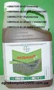 ������ �������� ������� - ����������� 1